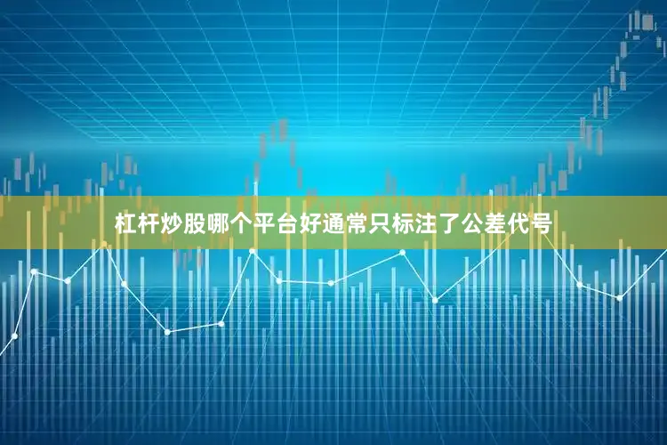 杠杆炒股哪个平台好通常只标注了公差代号